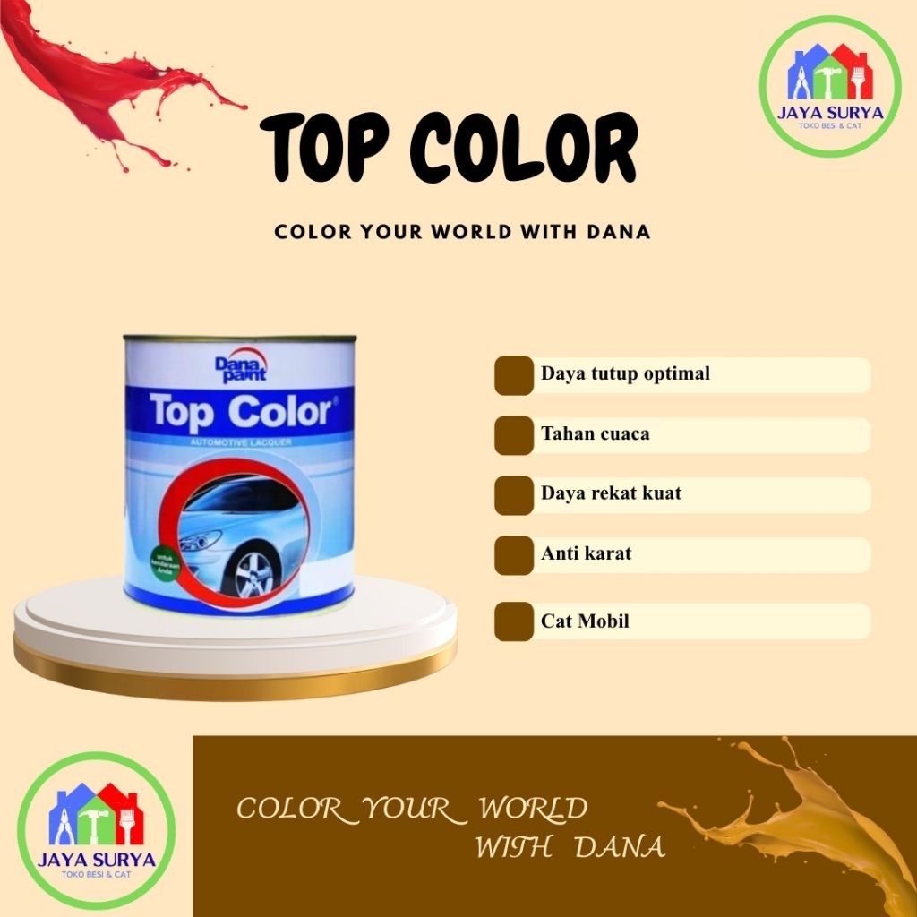 Dana Paint Top Colour