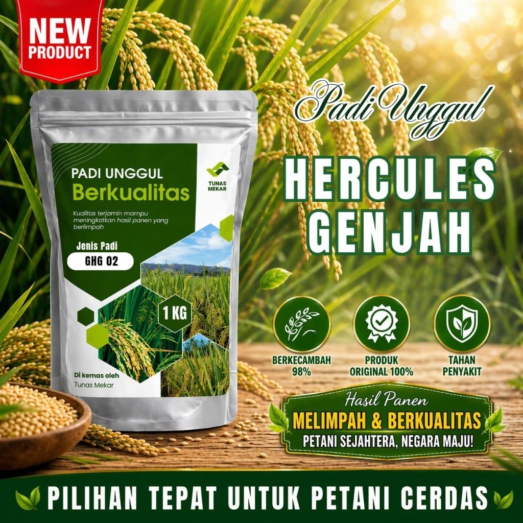 Benih padi unggul SR P08 ULTRA GENJAH umur panen cepat 75hst kemasan 1kg