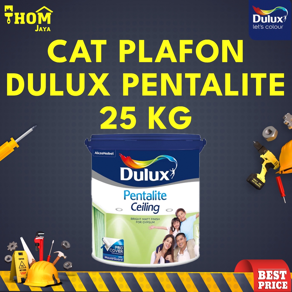 CAT PLAFON INTERIOR - 25 KG - DULUX PENTALITE CEILING