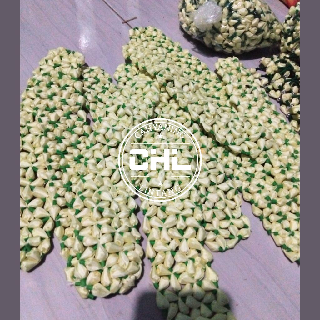 bando melati palsu tanpa bunga