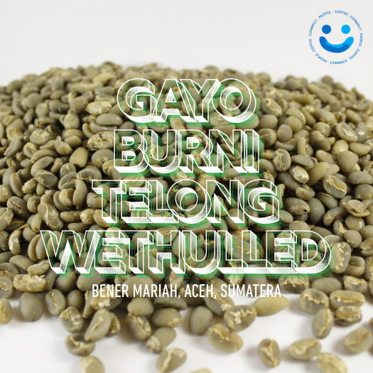 Biji Kopi Hijau Arabica Gayo Burni Telong Wethulled 1kg