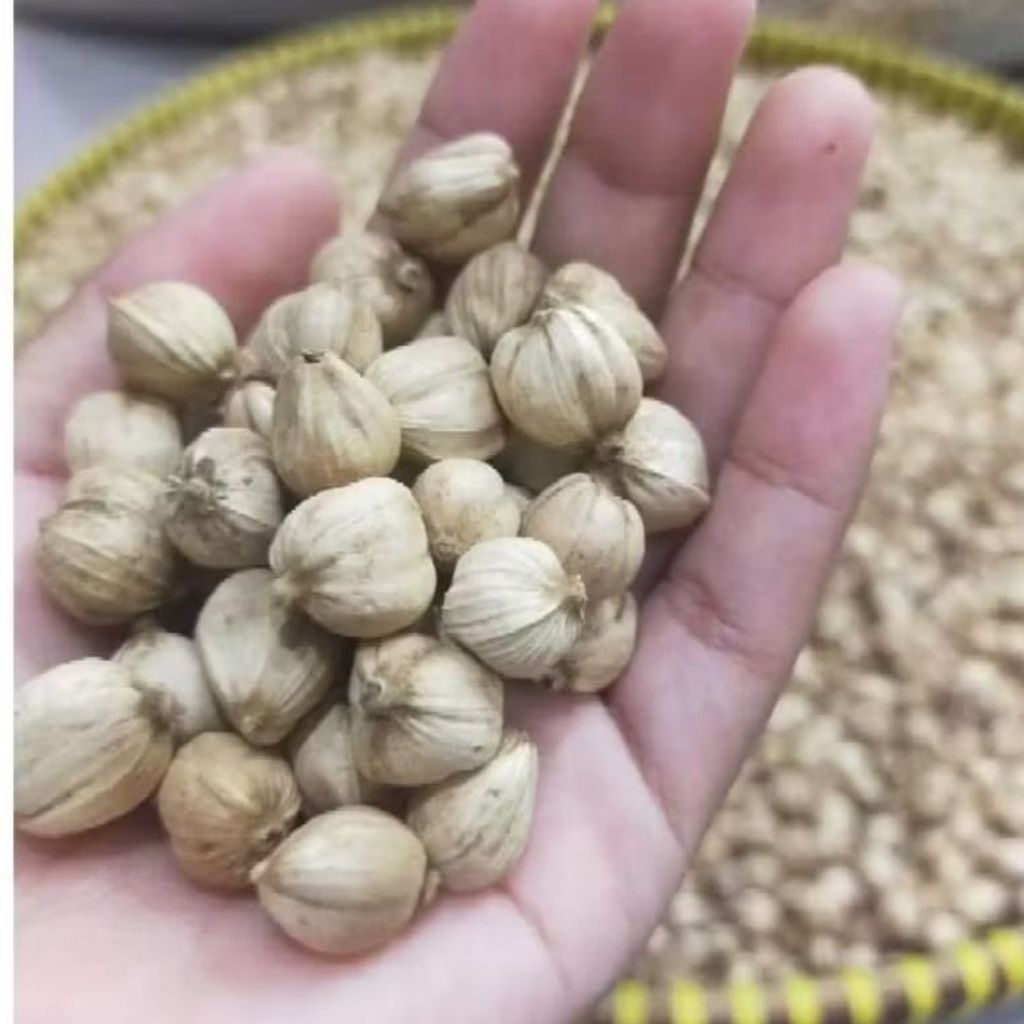 kapulaga kering 1kg