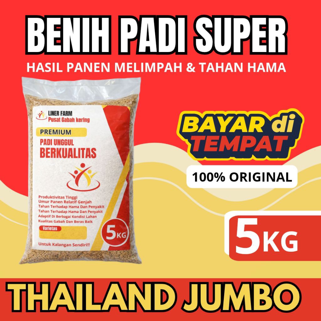 bibit padi Thailand jumbo ISI 5KG