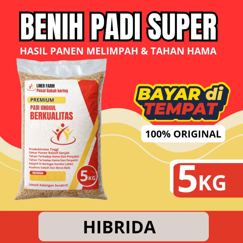 Benih Padi hibrida 5kg kualitas super.