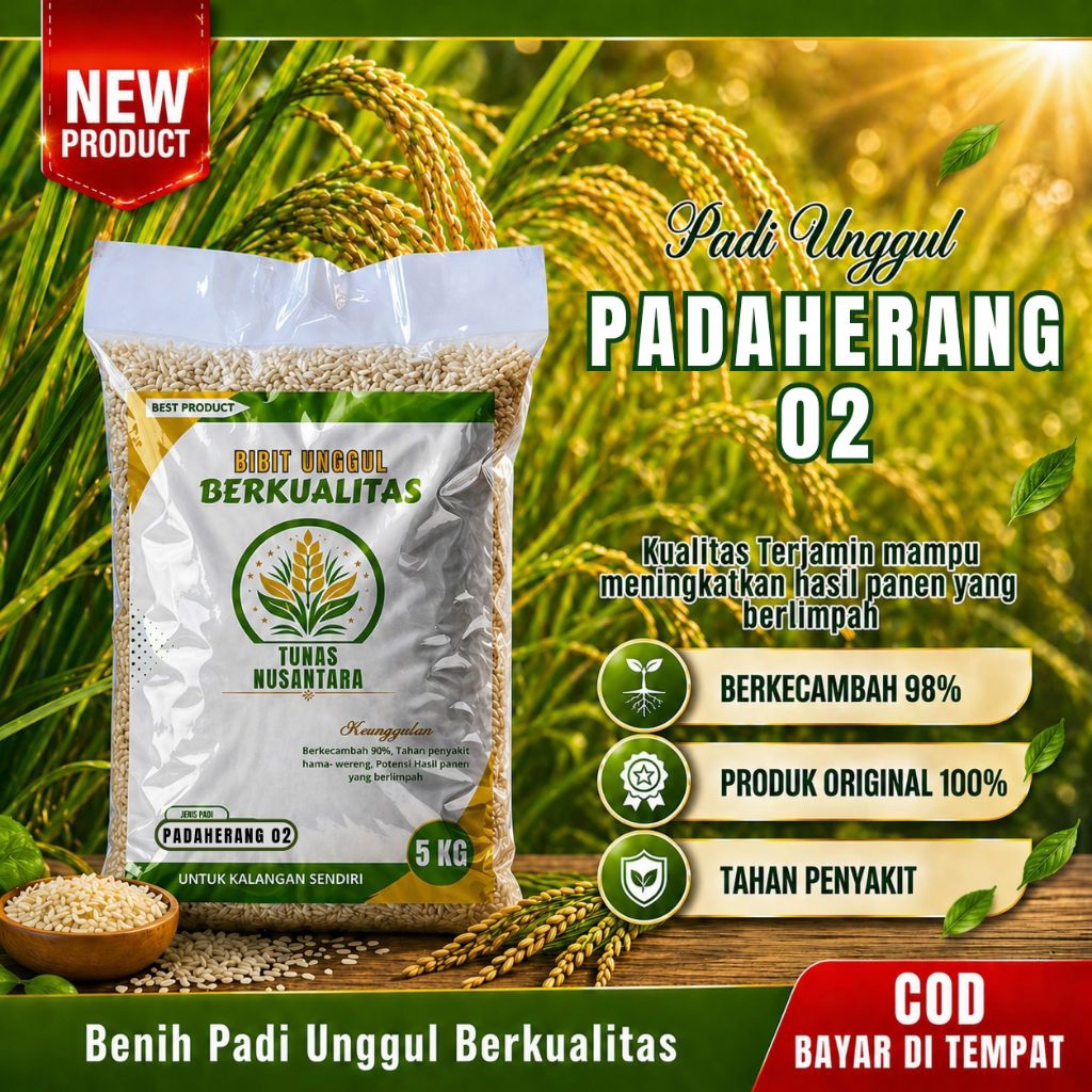 Benih padi unggul berkualitas PADAHERANG 02 kemasan 5kg original