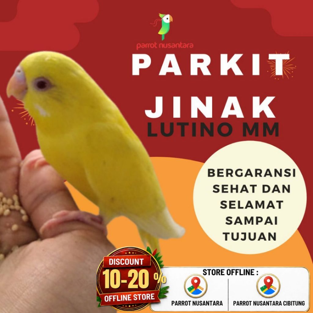 parkit jinak jenis lutino mm