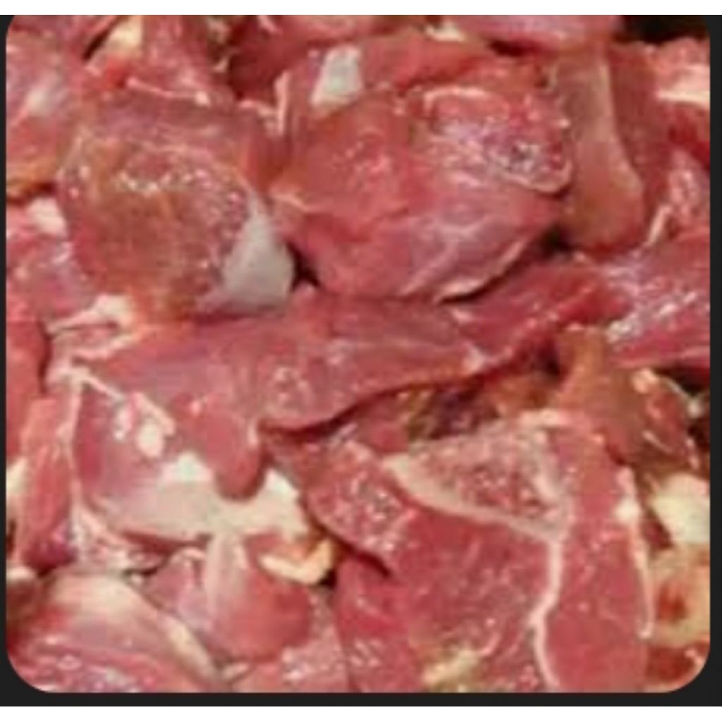 daging kambing 1 kg fresh daging kambing muda