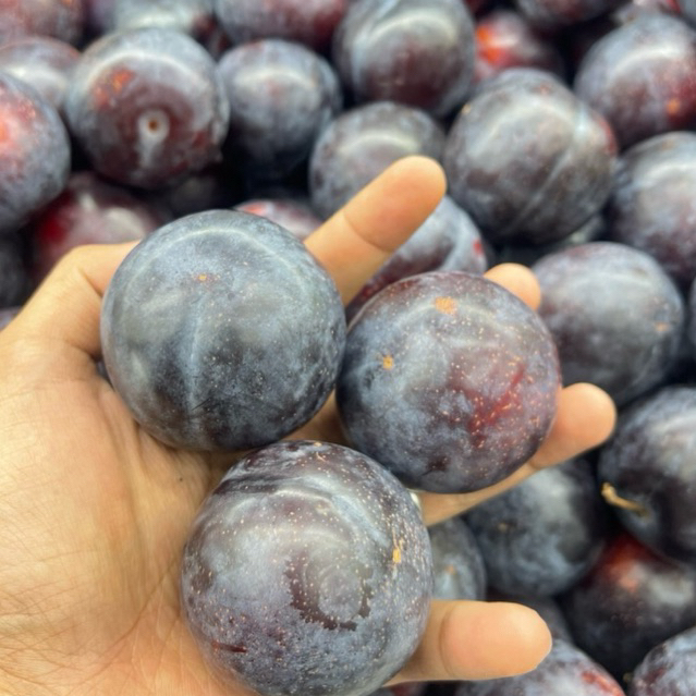 Buah Plum Black Manis Fresh 500gram / Buah Plum Black Import