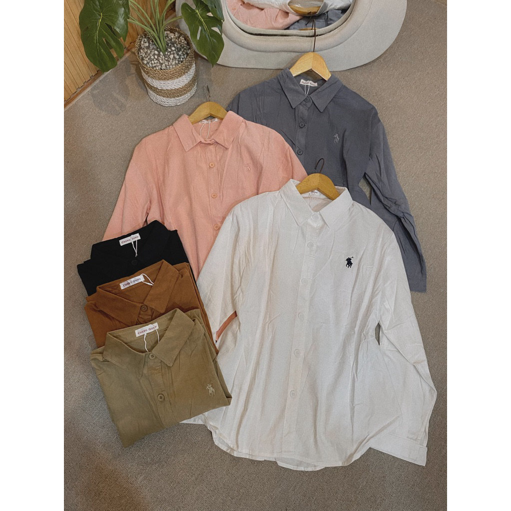 SABRINA - KEMEJA POLO - KEMEJA BASIC POLO - KEMEJA WANITA