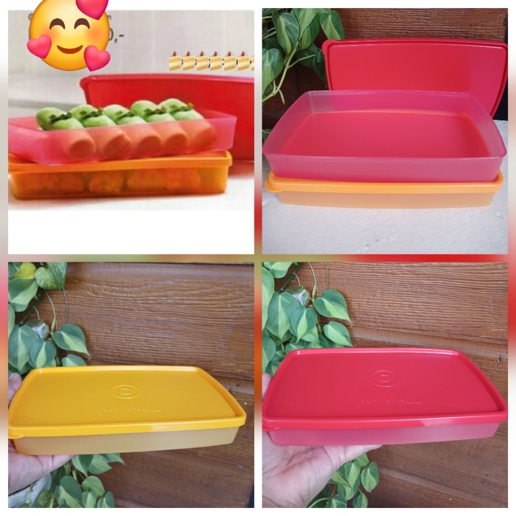 Shallow pak n stor tupperware / pak n stor tupperware (1)