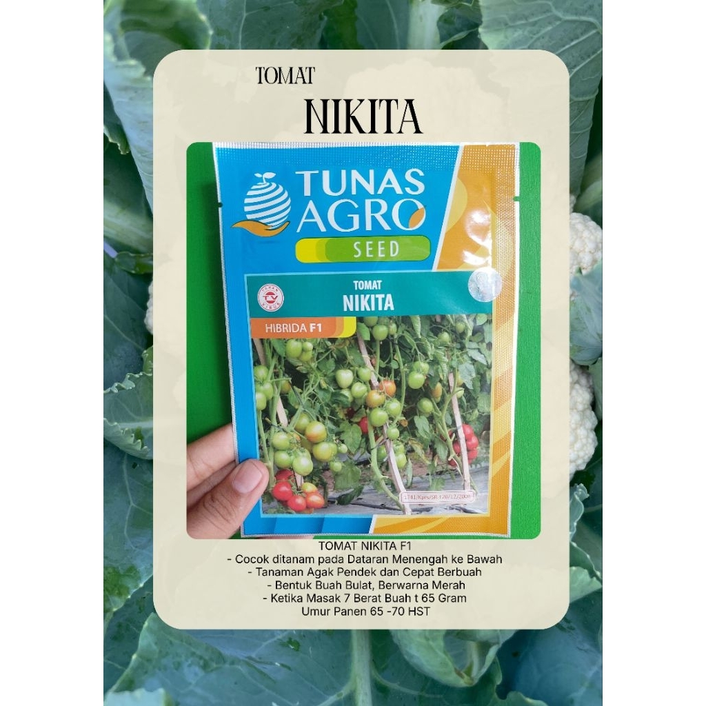 bibit tomat nikita 5gr tunas agro bibit tomat unggul buah lebat