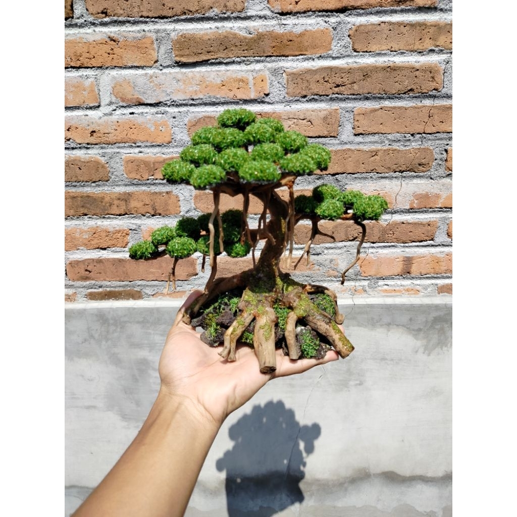 Bonsai Aquascape sintetis/Bonsai Aquascape/Bonsai Sintetis