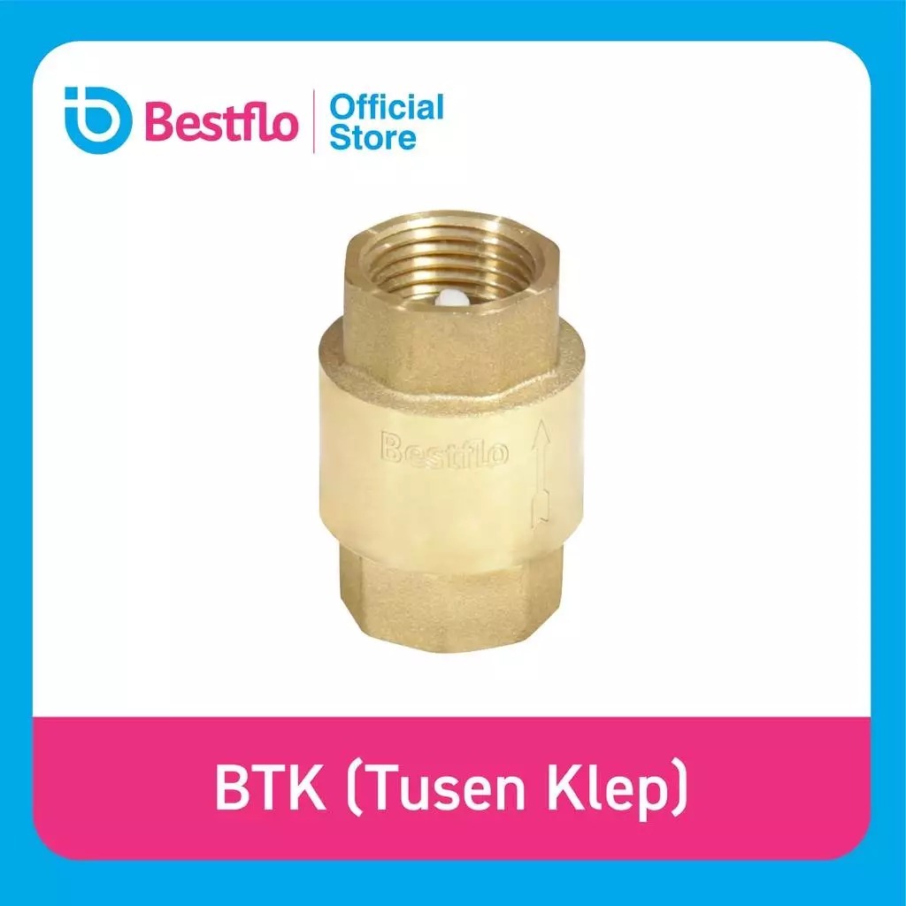 BESTFLO CHECK VALVE - BCV 1"