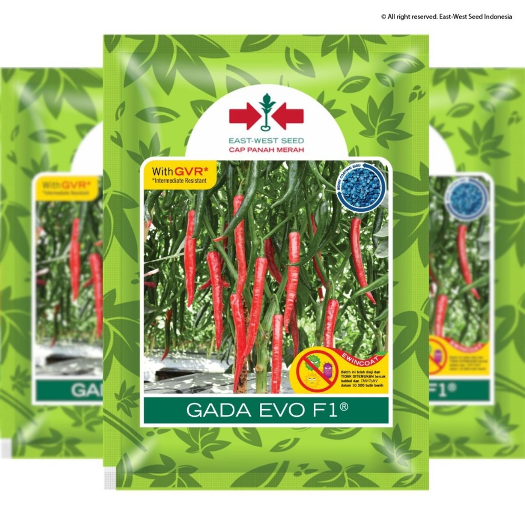CAP PANAH MERAH - 125 BUTIR BENIH CABE MERAH BESAR GADA EVO F1