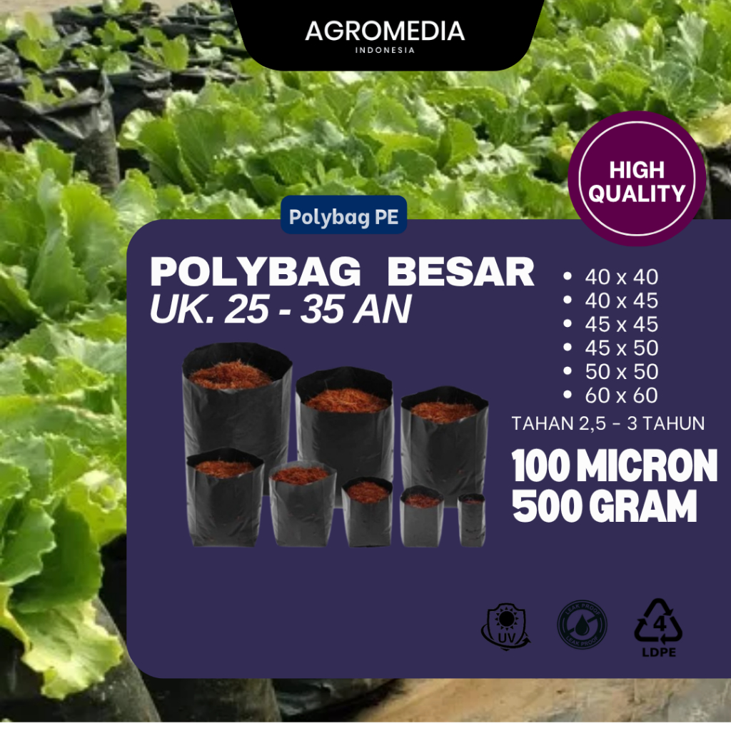 Polybag jumbo polybag besar polybag ukuran 40 polibek semai polybag sawit polybag media tanaman