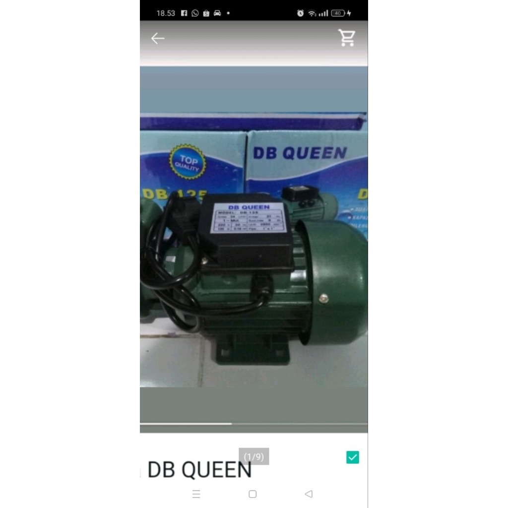 POmpa  Dinamo DB QUEEN PERTAMINI