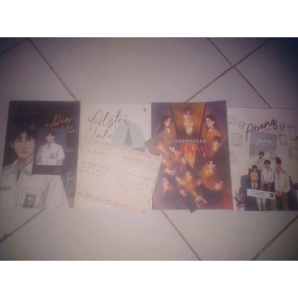(SPLITPAY) Preloved novel alster lake ori