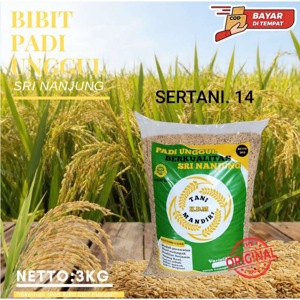 BENIH PADI SERTANI (14) BENIH PADI UNGGUL DAN BERKUALITAS 3KG