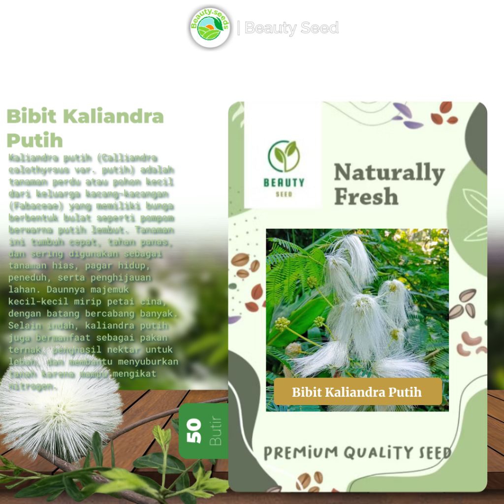 50 Butir Benih Kaliandra Putih Siap Semai - Biji Kaliandra Putih Kemasan Repack