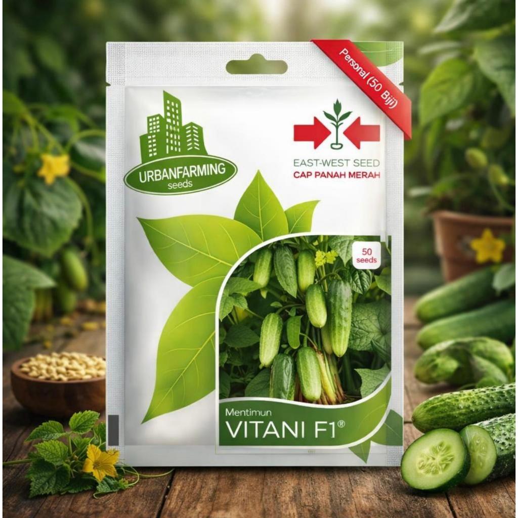 Benih Bibit Timun Lalap Vitani F1 Cap Panah Merah - TIMUN VITANI F1 EAST WEST SEED