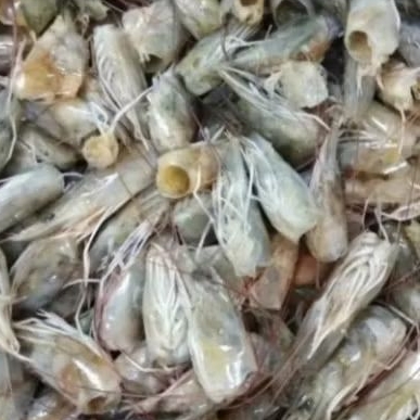kepala udang tanpa kulit hanya kepalanya aja segar 1 kg