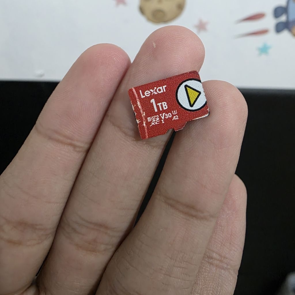 micro sd lexar play 1tb