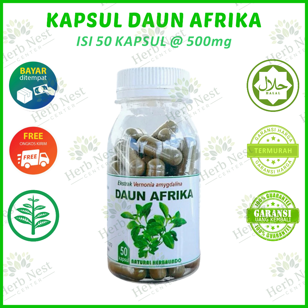 Daun afrika isi 50 kapsul herbal stroke obat stroke jamu kolesterol hipertensi kebas kesemutan mati 
