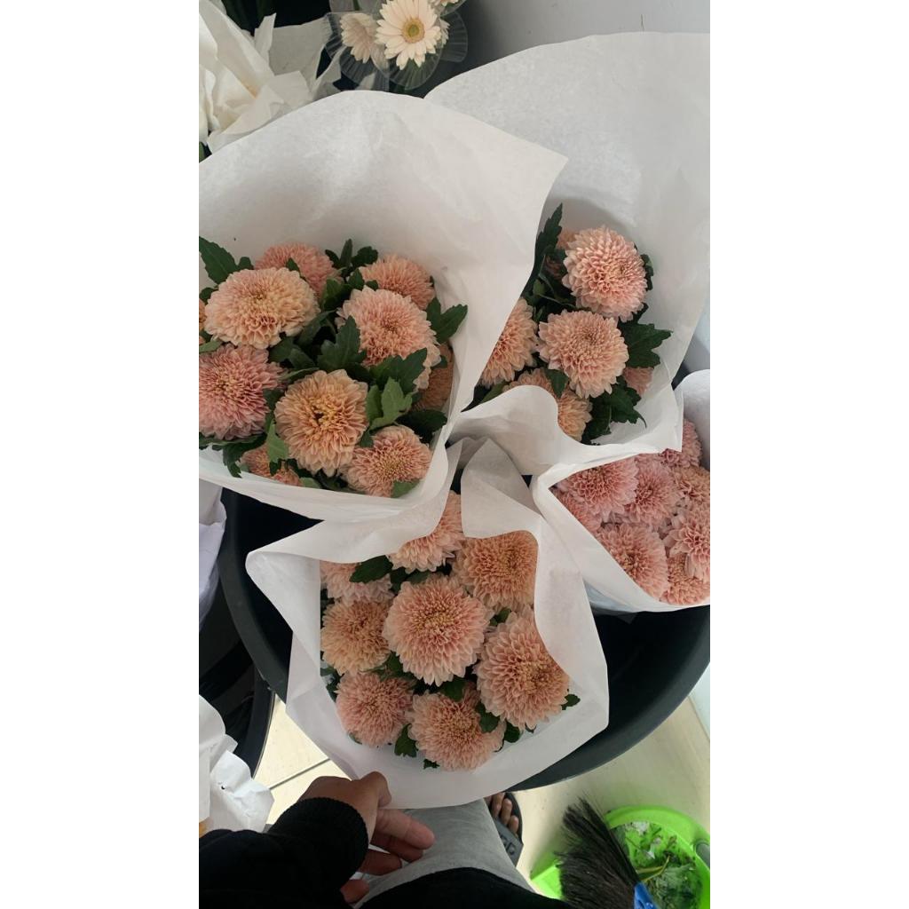 Bunga Potong Krisan Gompie Bunga Segar Fresh Flower