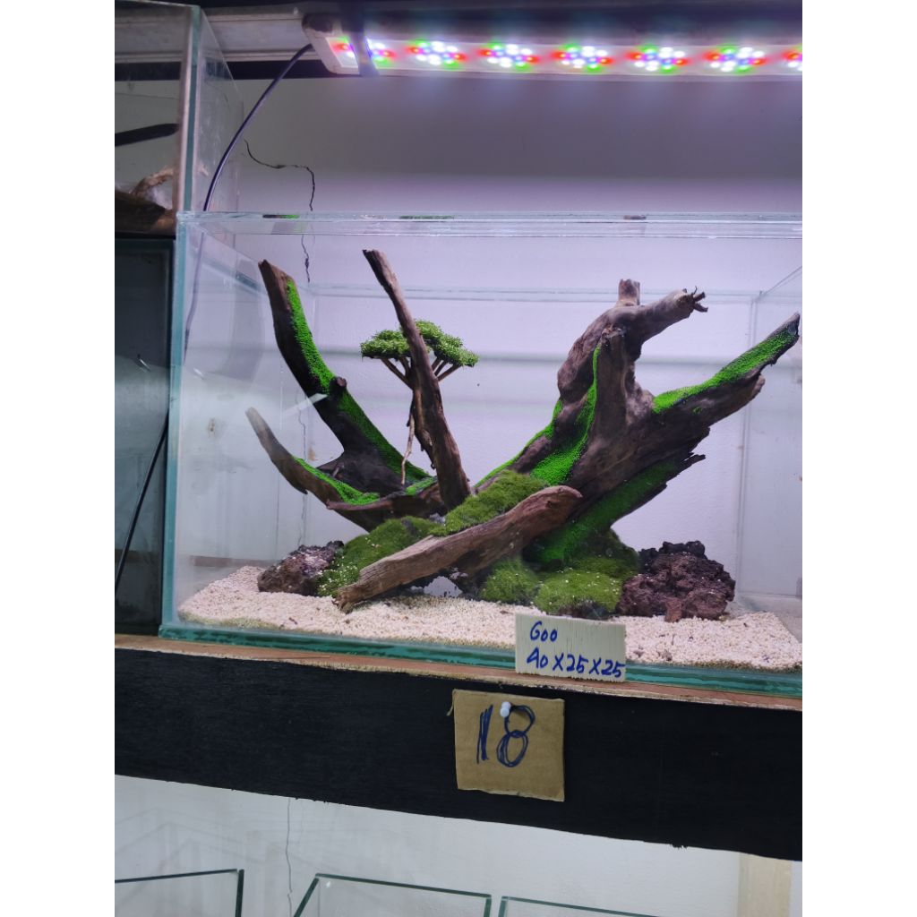 aquascape fullset size 40*25*25cm
