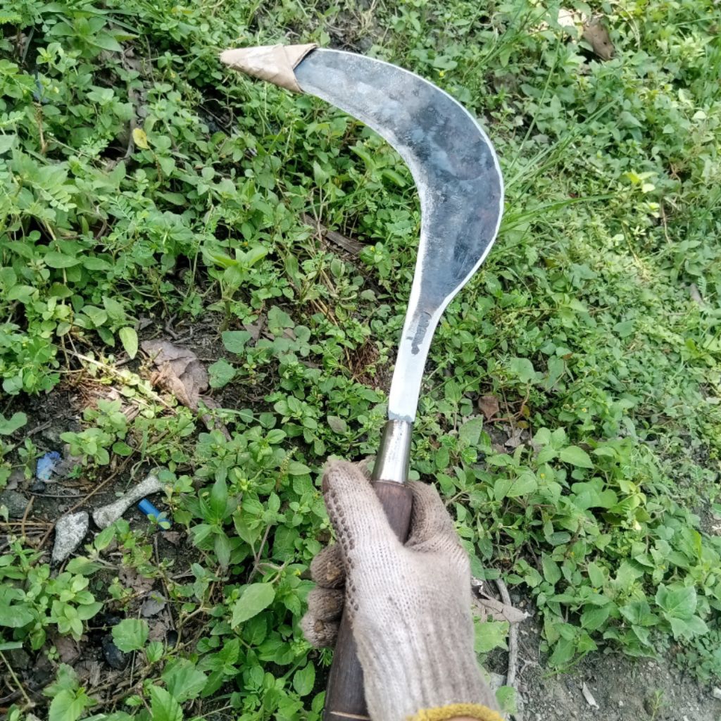 Sabit Arit Pengaritan rumput baja