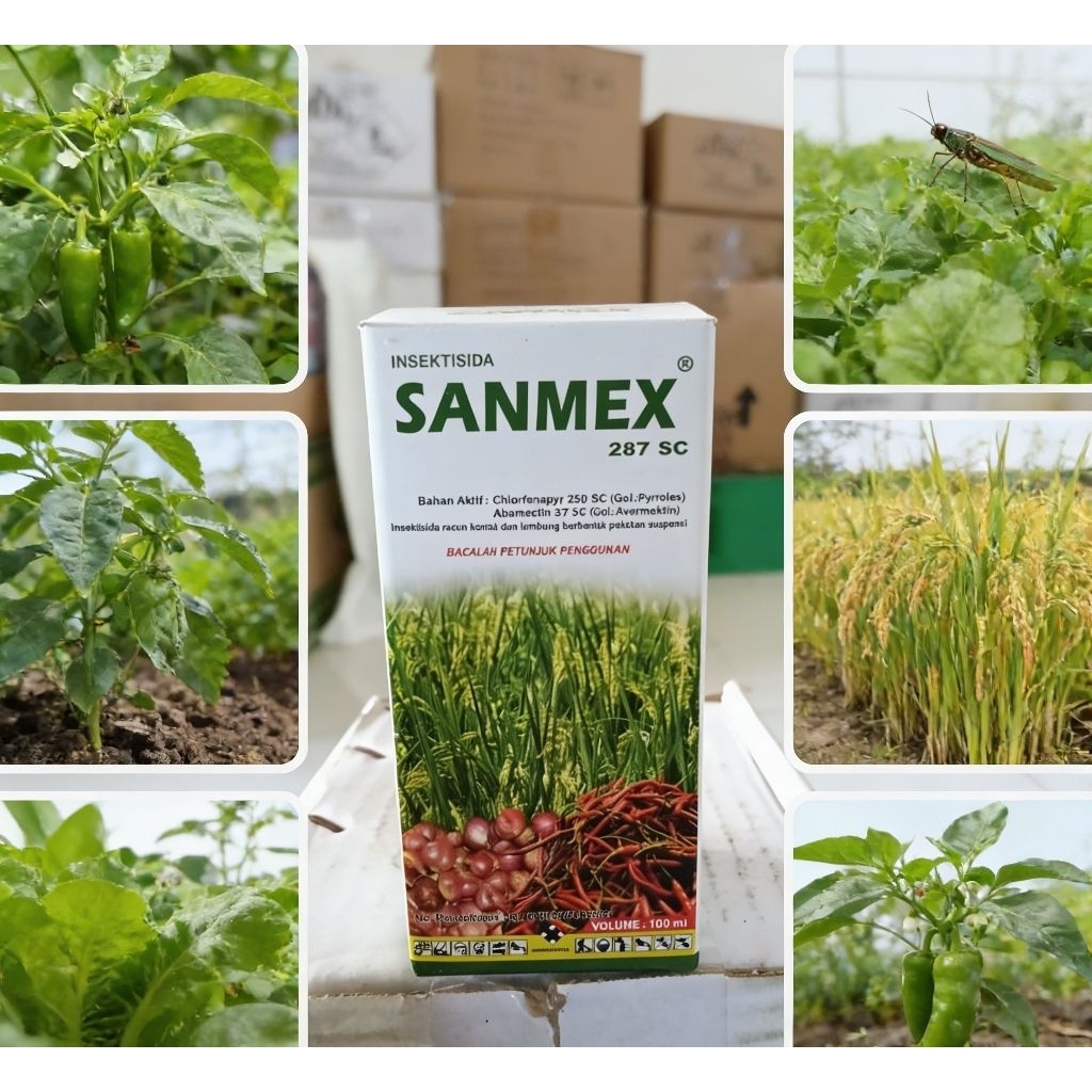 Insektisida Sanmex 287 SC 250 ml