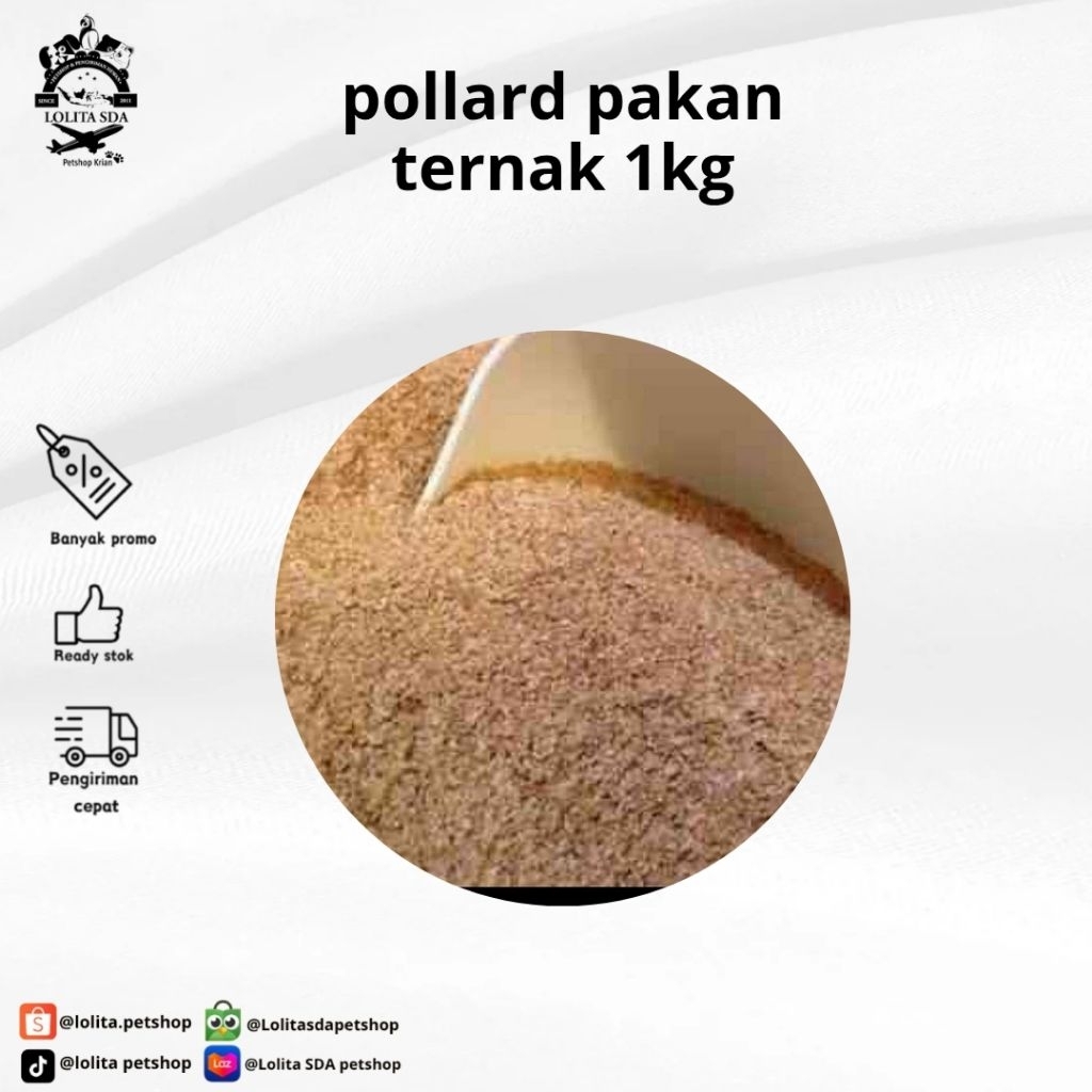 Polard Polar Pakan Ternak Kelinci Kambing Sapi 1Kg