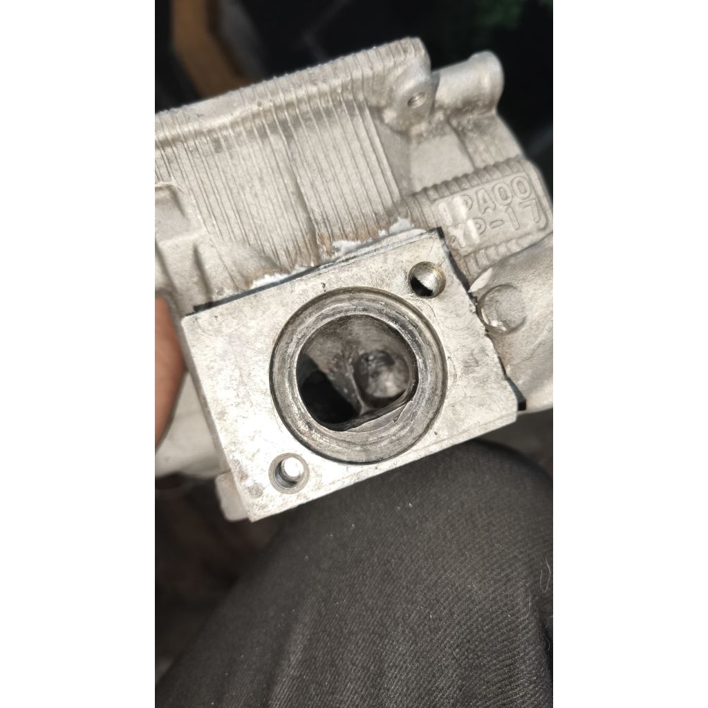 HEADMXKING(20/23)ALBRONZE