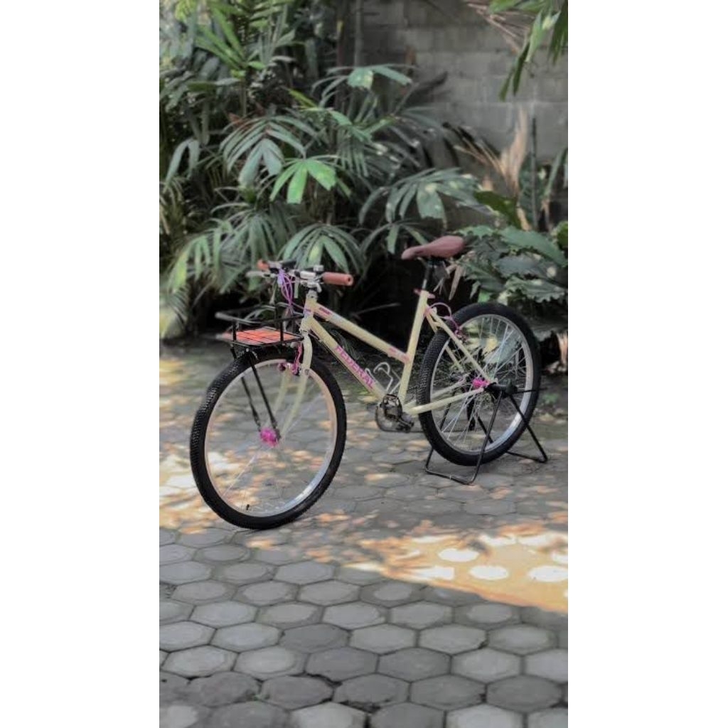 sepeda federal lady