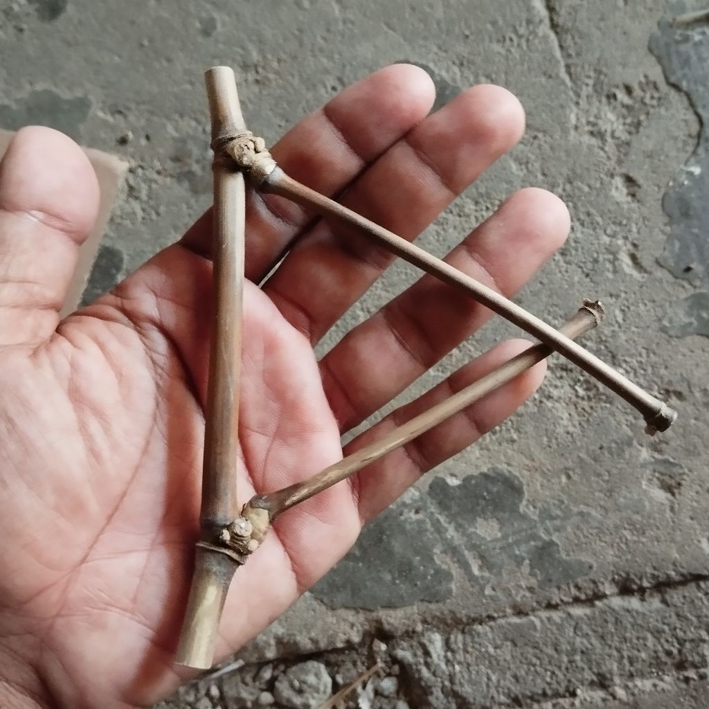 BAMBU UNIK BAMBU PETUK CABANG