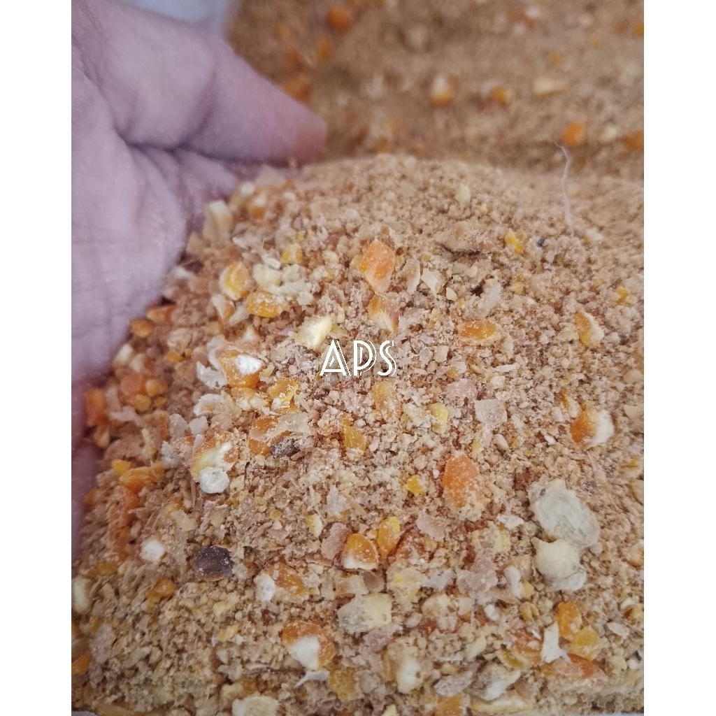 PUR PAKAN AYAM PETELUR L83 BAGUS UNTUK AYAM BERTELUR