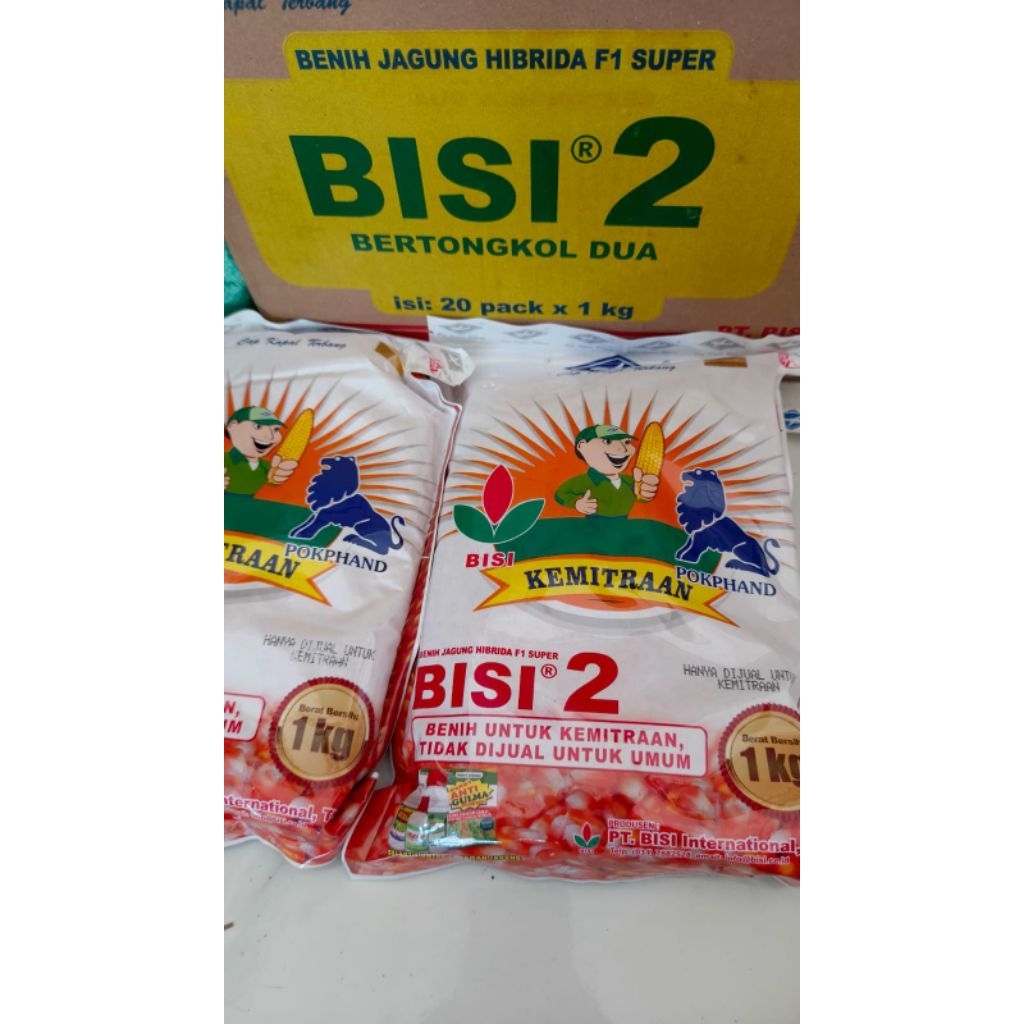 Benih Jagung Tongkol 2 BISI 2
