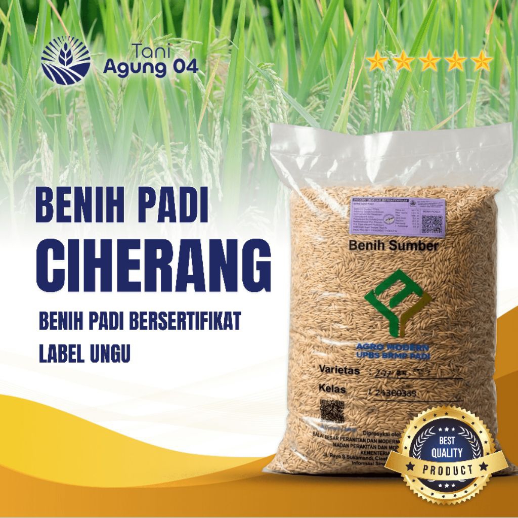 Benih padi bibit padi CIHERANG bersertifikat kualitas premium kemasan 5 kg