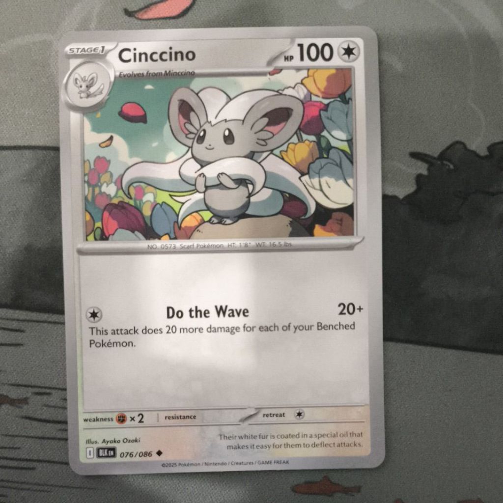 cinccino 76/86 EN bbwf