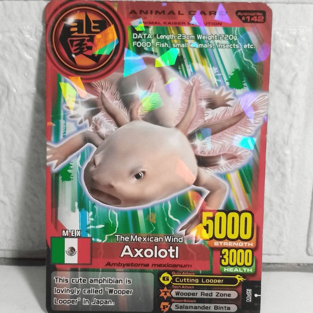 Kartu Animal Kaiser Evolution Axolotl A142 Holo Rare Original Koleksi