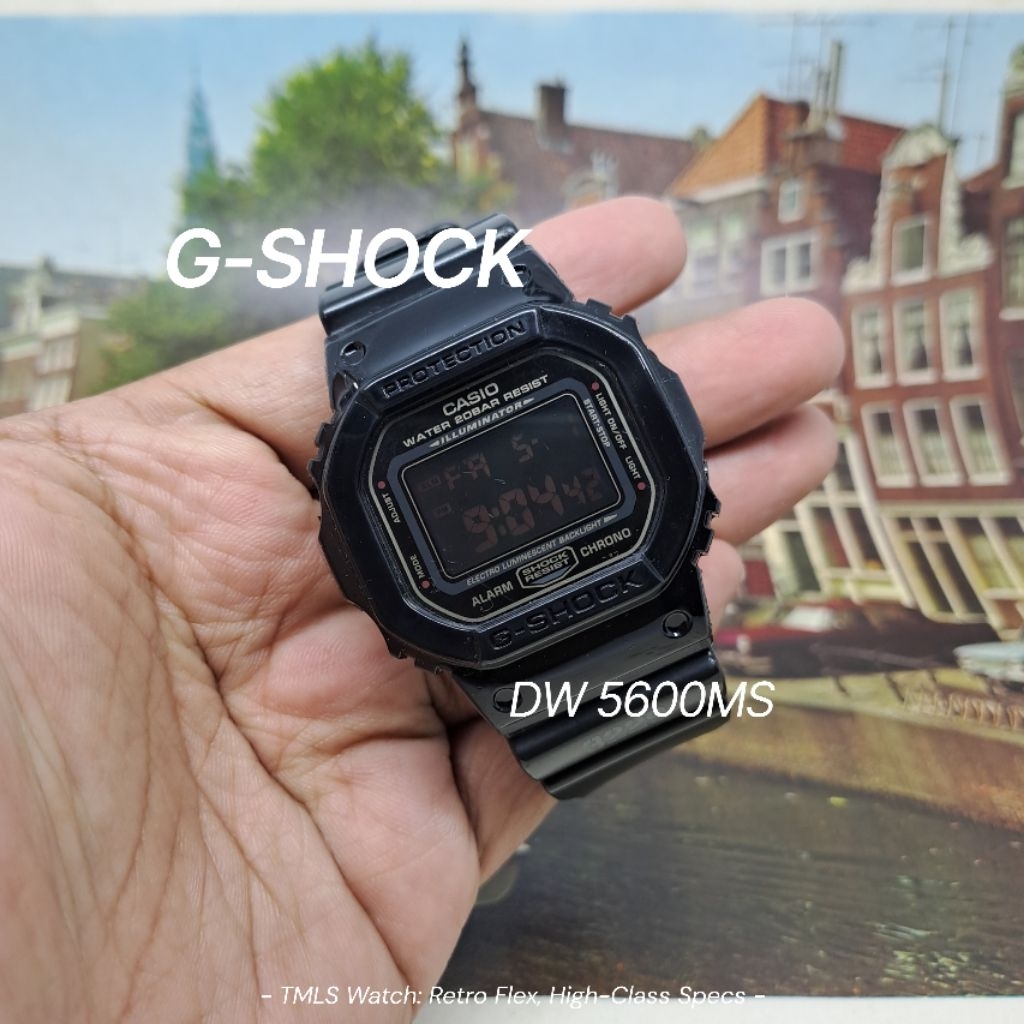Jam Tangan Casio G Shock DW5600 MS Original