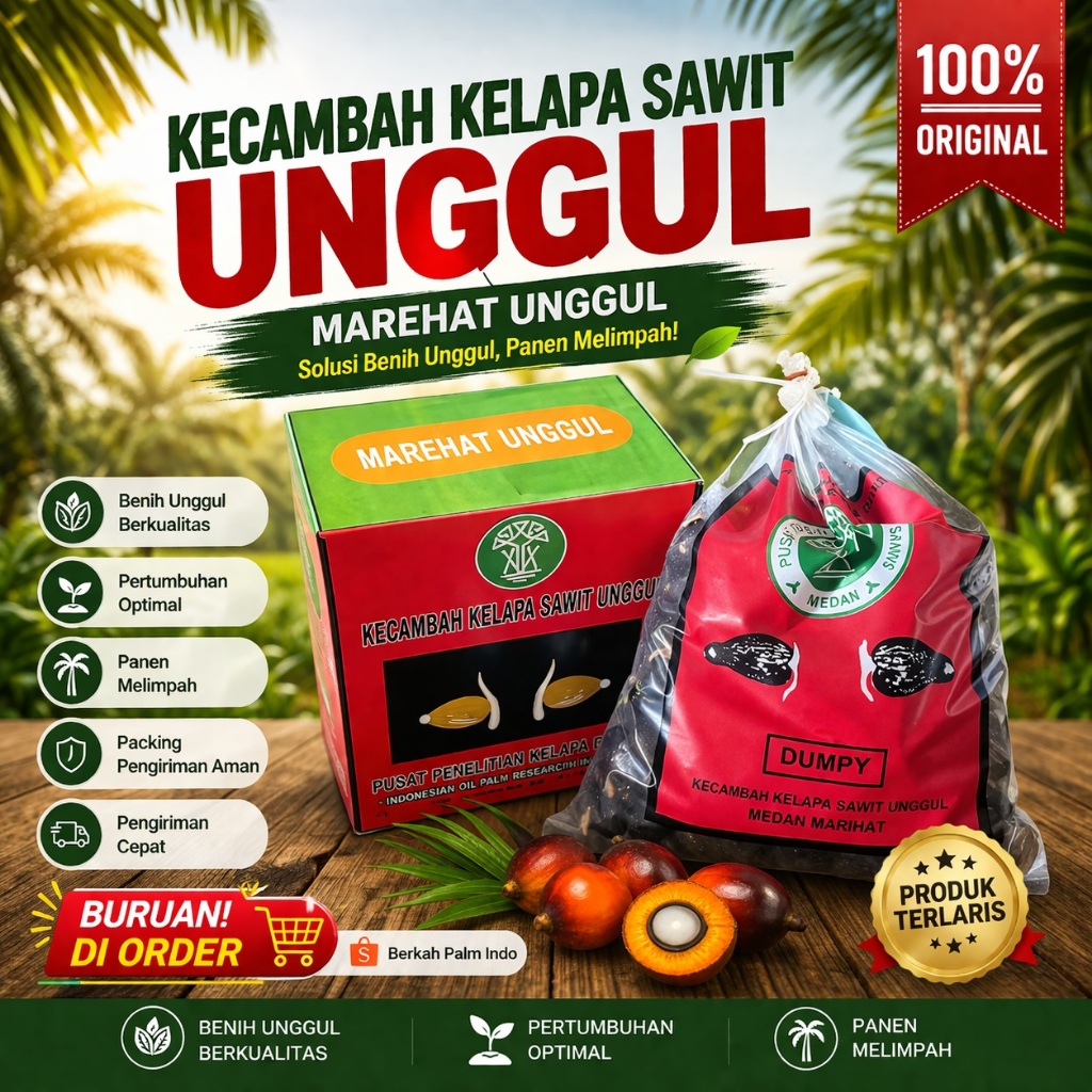 Kecambah Sawit Unggul PPKS DxP MAREHAT DUMPY Original | 100% Bersertifikat Resmi isi 250 Butir Siap 