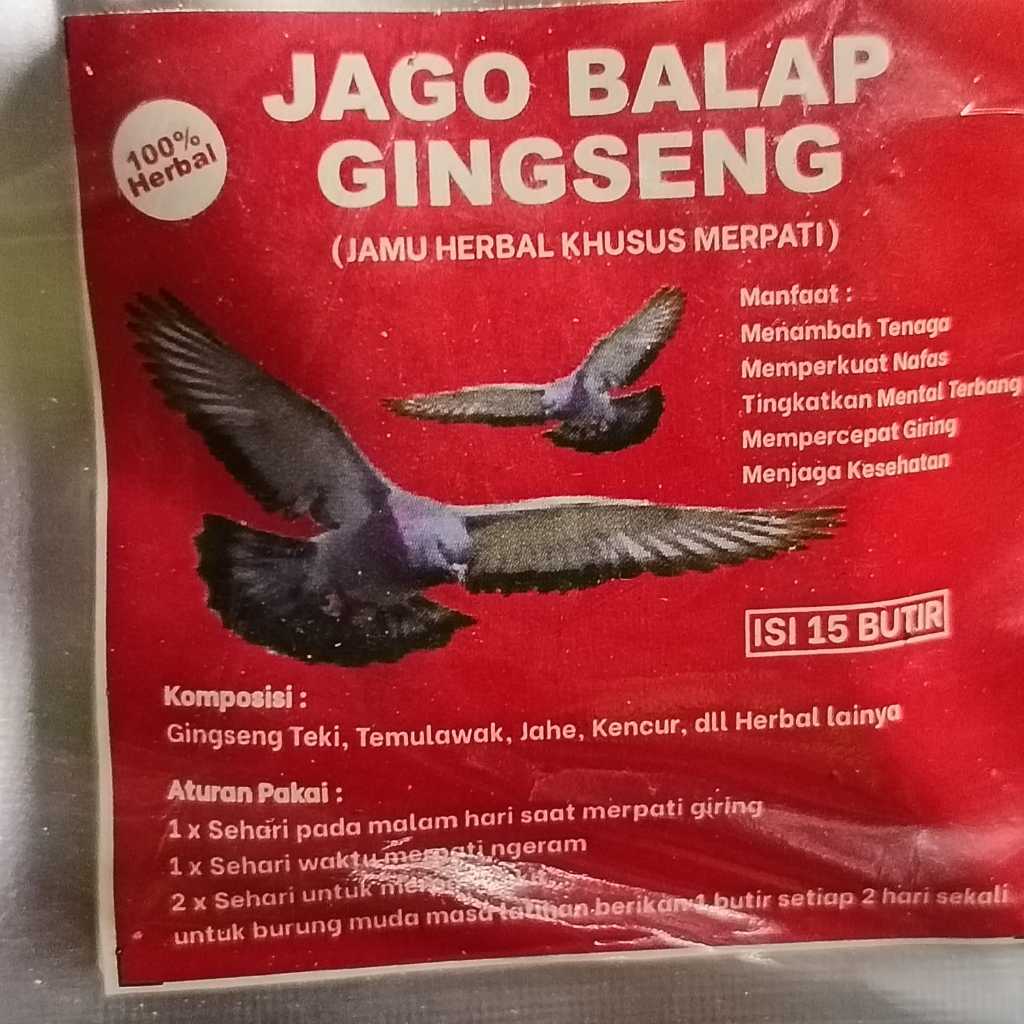 PIL MERPATI JAGO BALAP GINGSENG UNTUK NAFAS TENAGA DAN POWER MERPATI KENTONG JAMU MERPATI BALAP DAN 