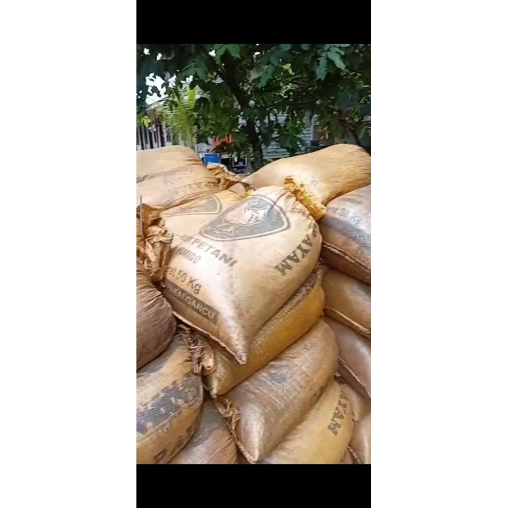 Serbuk kayu ulin premium