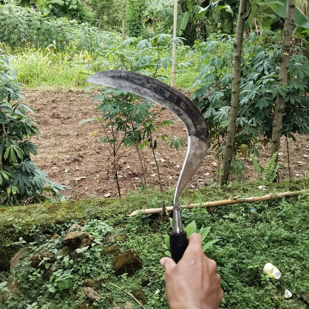 sabit rumput baja isen