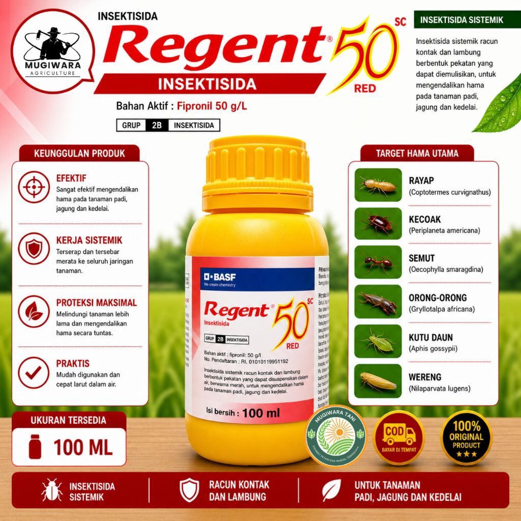 Insektisida Regent 100ml BASF Ampuh Basmi Wereng, Semut, Hama Tanah – Obat Hama Padi Sistemik Kontak