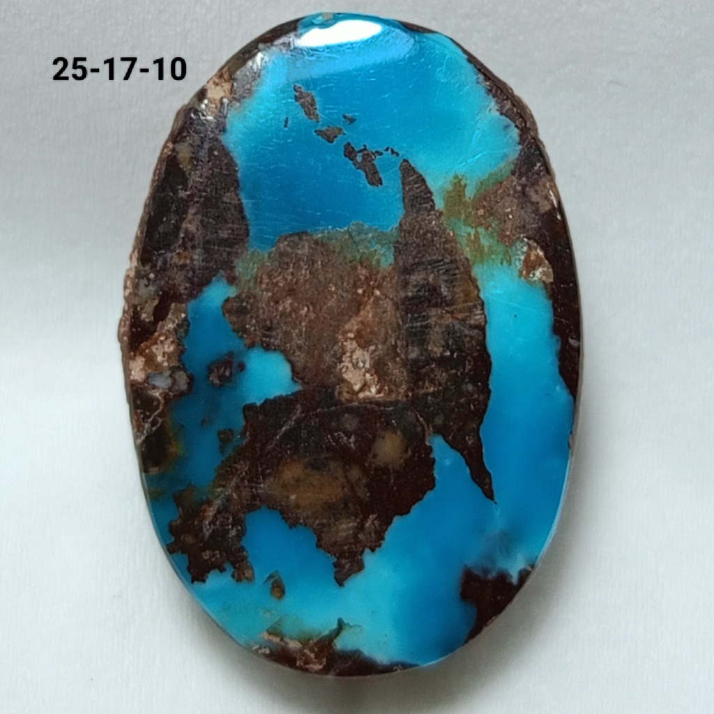 NATURAL PIRUS PERSIA WARNA BIRU