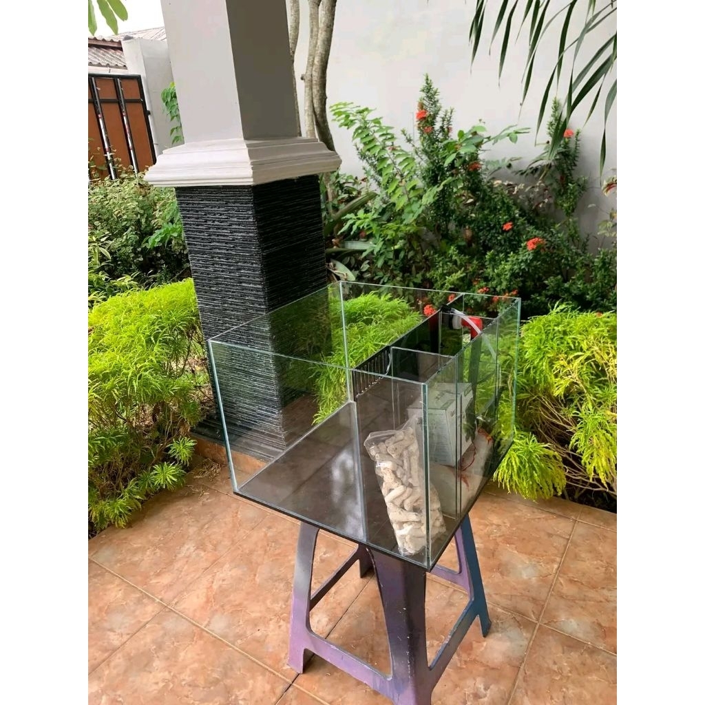 Aquarium air laut