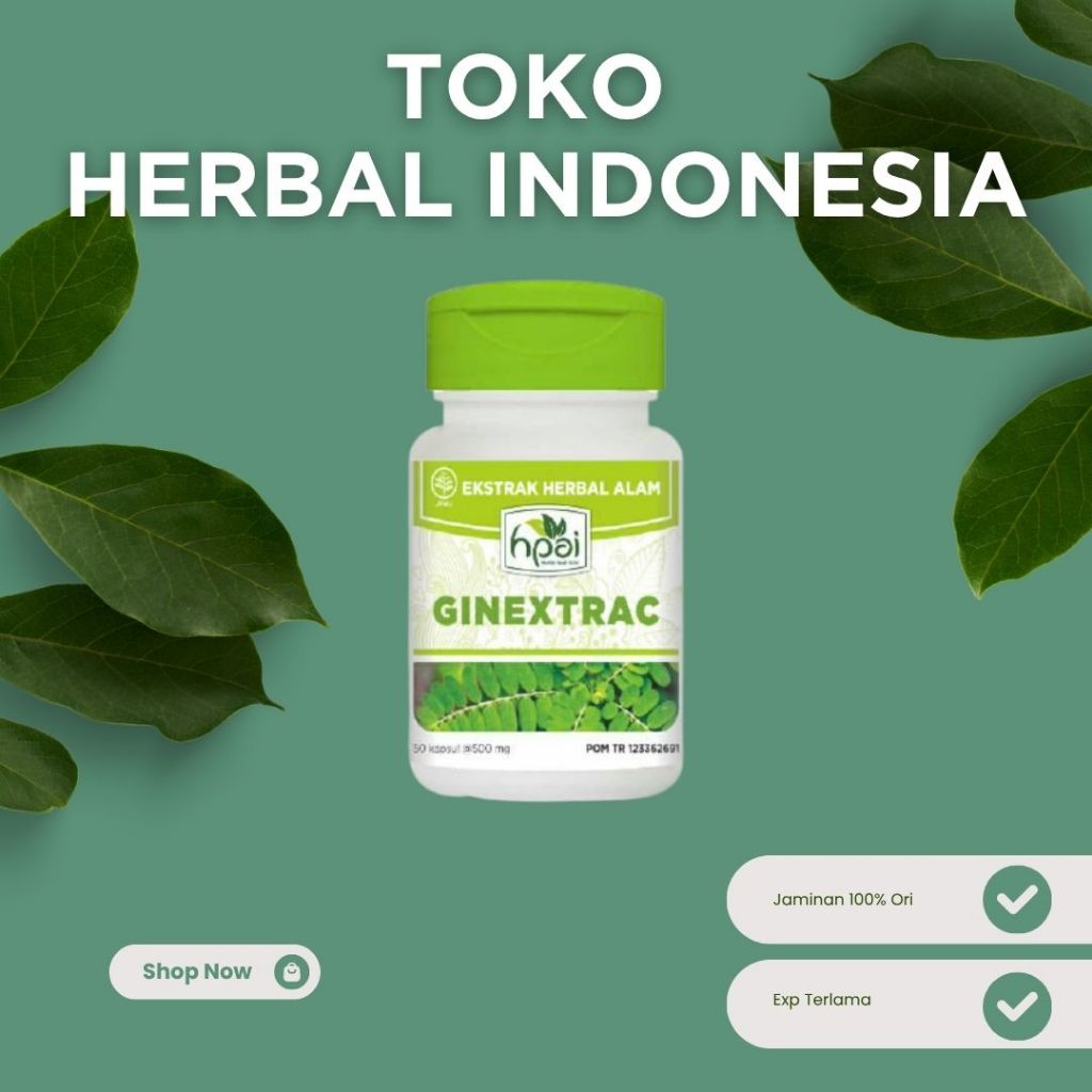 GINEXTRAC HNI HPAI OBAT HERBAL KENCING BATU, BATU KANDUNG KEMIH DAN KANDUNG EMPEDU