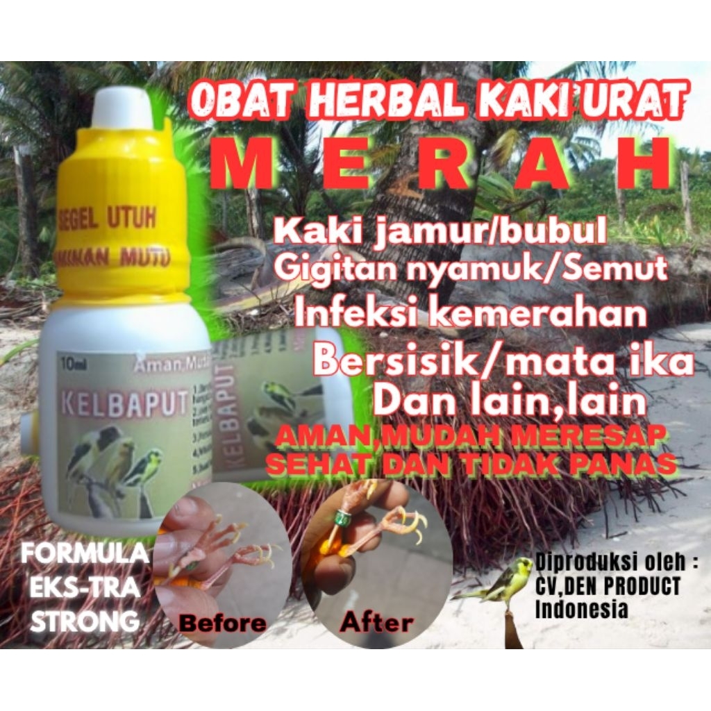 OBAT KAKI BURUNG,HERBAL KAKI URAT MERAH AMAN DIGUNAKAN